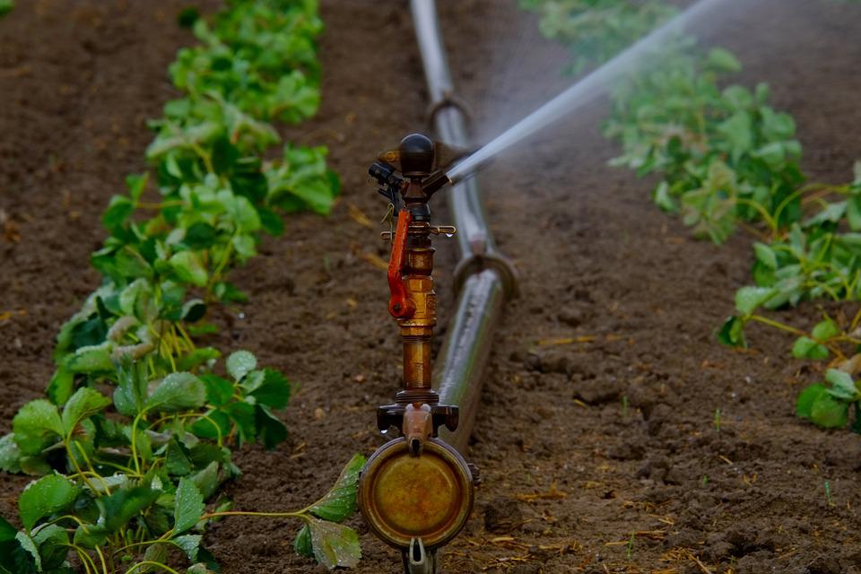 How to Detect a Water Leak in the Irrigation System